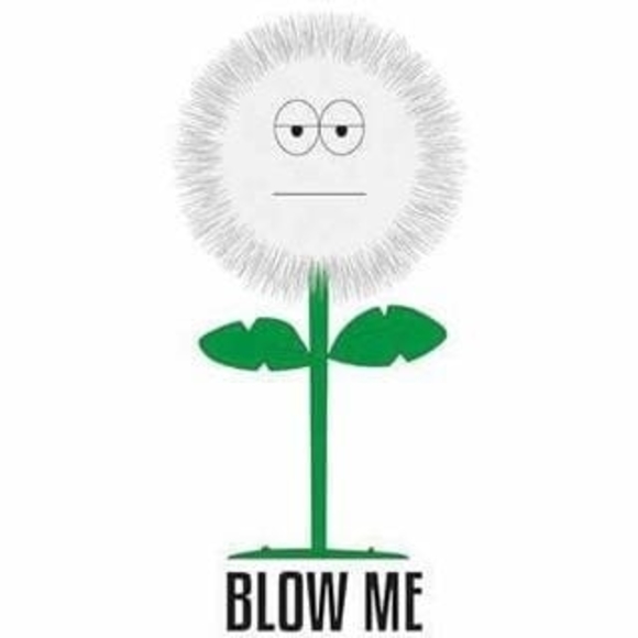 Meet your Posher, Tim - Picture 1 of 1